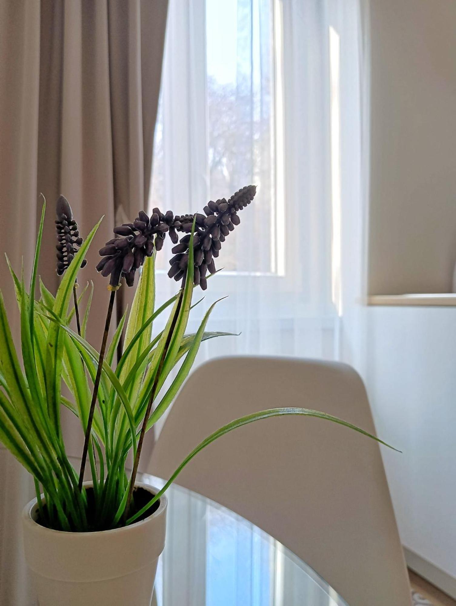 Tesa2 Casa Vacanze Trieszt Kültér fotó
